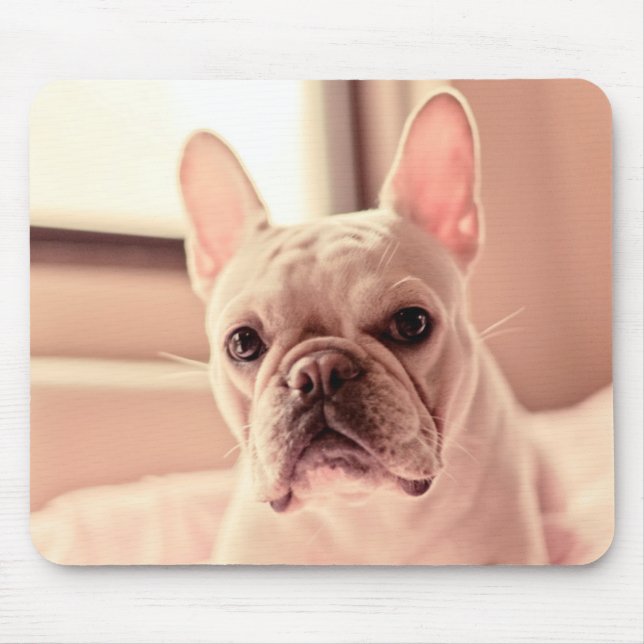Mousepad Filhote de cachorro do buldogue francês (Frente)