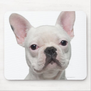 Mousepad Filhote de cachorro do buldogue francês (5 meses