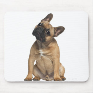Mousepad Filhote de cachorro do buldogue francês (7 meses
