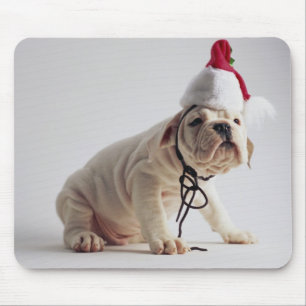 Mousepad Filhote de cachorro do buldogue que veste o chapé