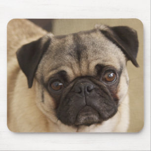 MOUSEPAD FILHOTE DE CACHORRO DO CÃO DO PUG