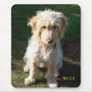 Mousepad filhote de cachorro do cockerpoo
