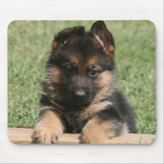 Mousepad Filhote de cachorro do german shepherd