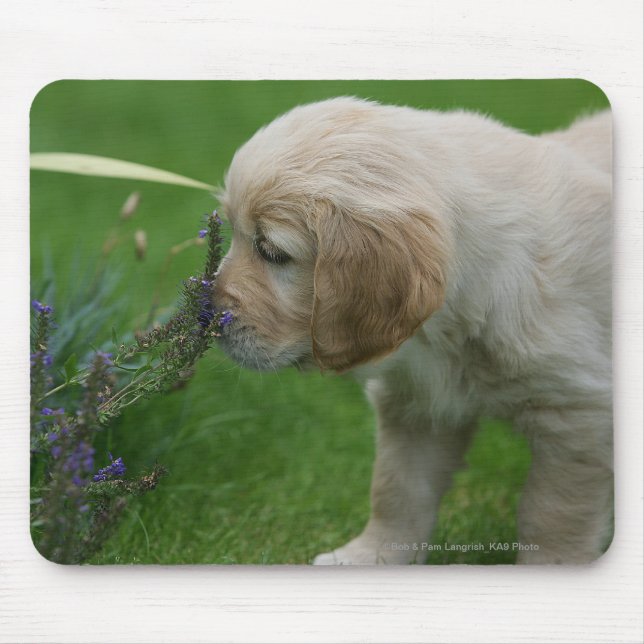 Mousepad Filhote de cachorro do golden retriever (Frente)