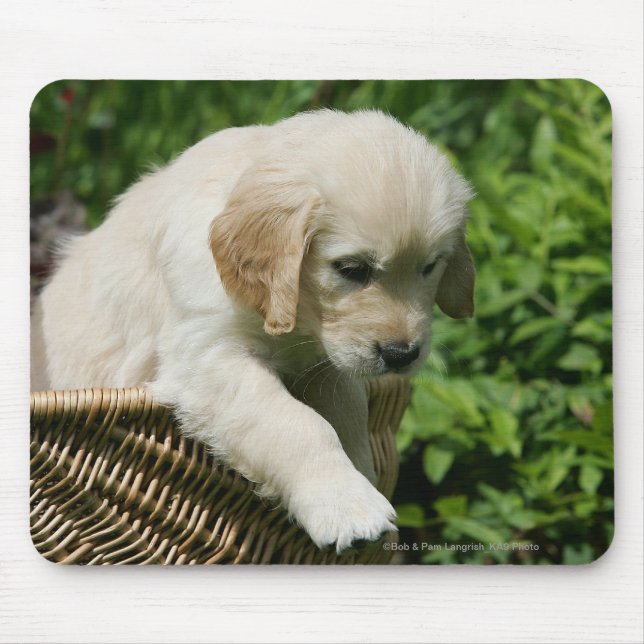 Mousepad Filhote de cachorro do golden retriever na cesta (Frente)