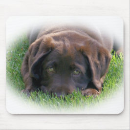 Mousepad Filhote de cachorro do laboratório do chocolate