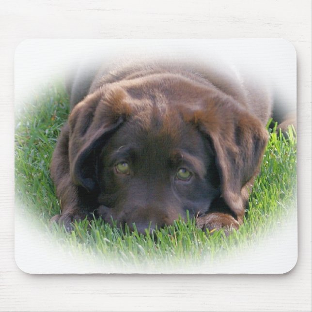 Mousepad Filhote de cachorro do laboratório do chocolate (Frente)