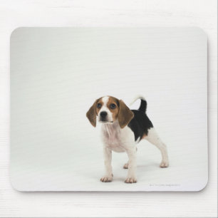 Mousepad Filhote de cachorro do lebreiro