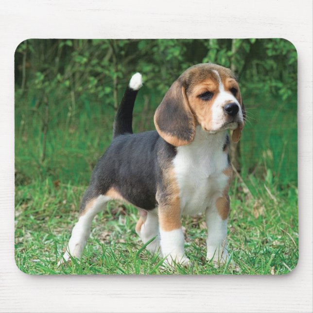 Mousepad Filhote de cachorro do lebreiro (Frente)