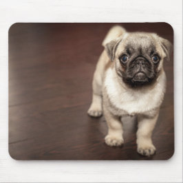 Mousepad Filhote de cachorro do Pug