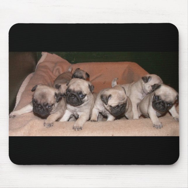 Mousepad filhote de cachorro do pug (Frente)