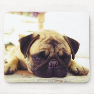 Mousepad Filhote de cachorro do Pug que coloca na terra que