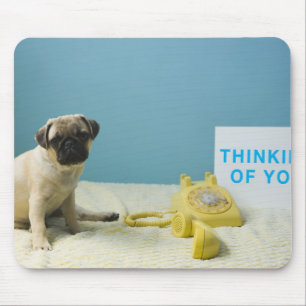 Mousepad Filhote de cachorro do Pug que senta-se na cama ao