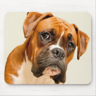 Mousepad Filhote de cachorro do pugilista no contexto do