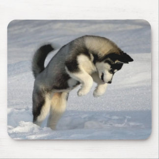 Mousepad Filhote de cachorro do rouco Siberian que joga na