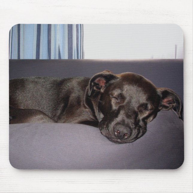 Mousepad Filhote de cachorro do sono (Frente)