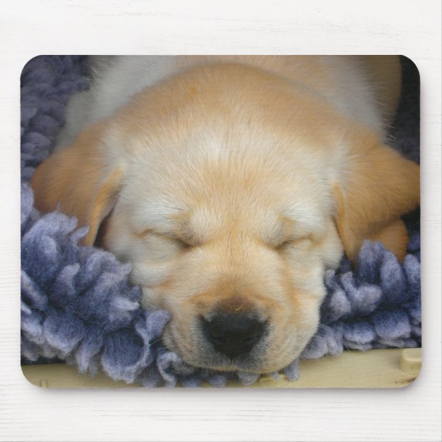 Mousepad Filhote de cachorro do sono (Frente)