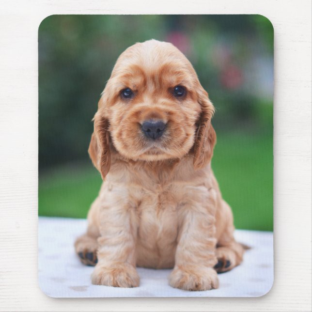 Mousepad Filhote de cachorro do Spaniel de Coker (Frente)
