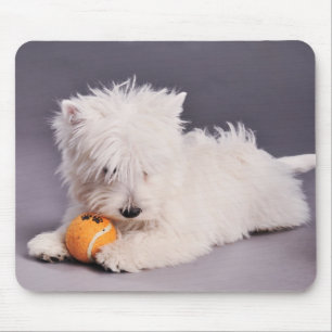 Mousepad filhote de cachorro do westie