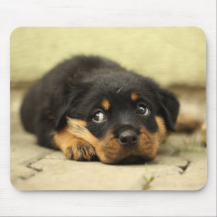 Mousepad Filhote de cachorro, doggy