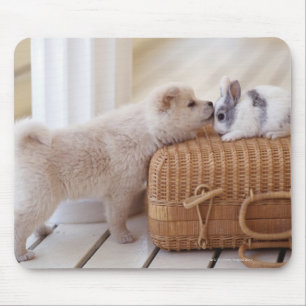 Mousepad Filhote de cachorro e coelho