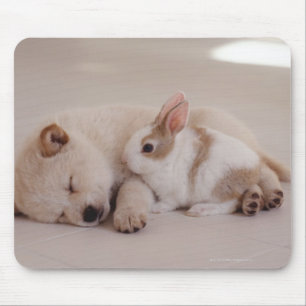 Mousepad Filhote de cachorro e coelho