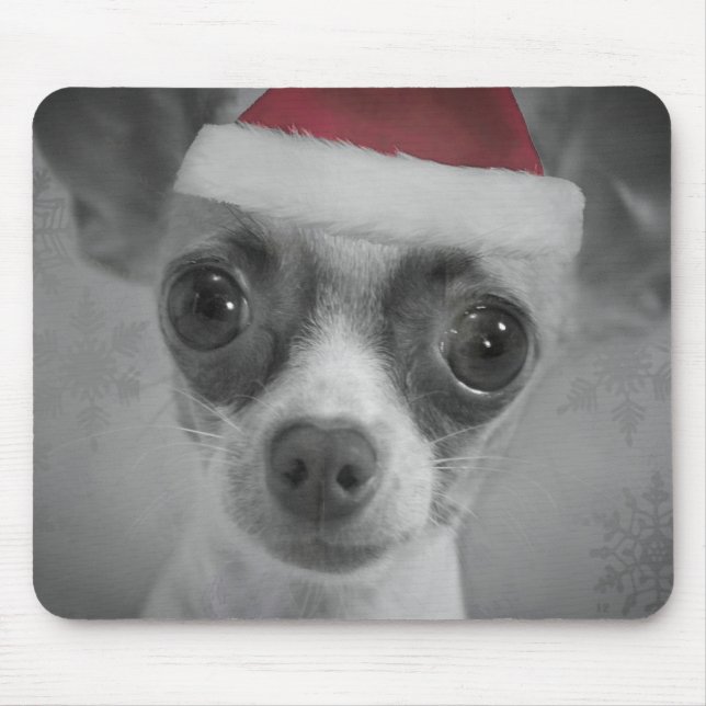 Mousepad Filhote de cachorro engraçado da chihuahua do (Frente)