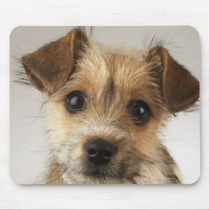 Mousepad Filhote de cachorro (familiaris do Canis)