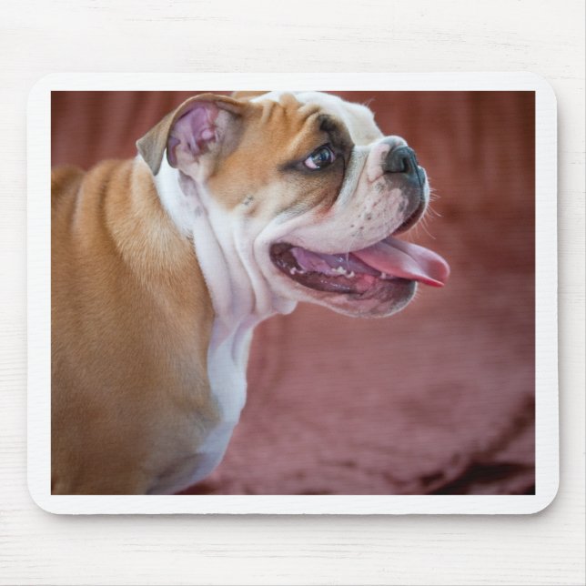 Mousepad Filhote de cachorro inglês do buldogue (Frente)