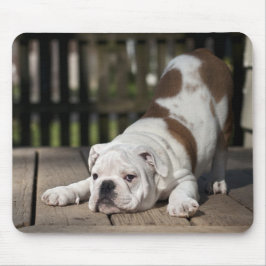 Mousepad Filhote de cachorro inglês do buldogue
