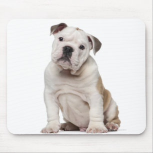 Mousepad Filhote de cachorro inglês do buldogue (2 meses