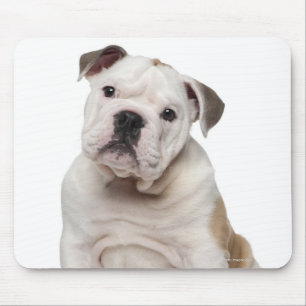 Mousepad Filhote de cachorro inglês do buldogue (2 meses