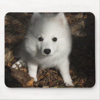 Mousepad Filhote de cachorro japonês do Spitz