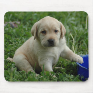 Mousepad filhote de cachorro-laboratório-HD-papel de pared