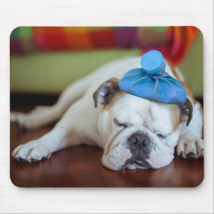Mousepad Filhote de cachorro novo doente das imagens de