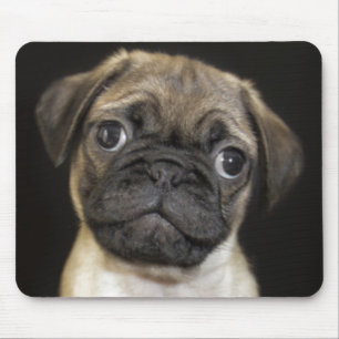 Mousepad Filhote de cachorro pequeno surpreendente do Pug