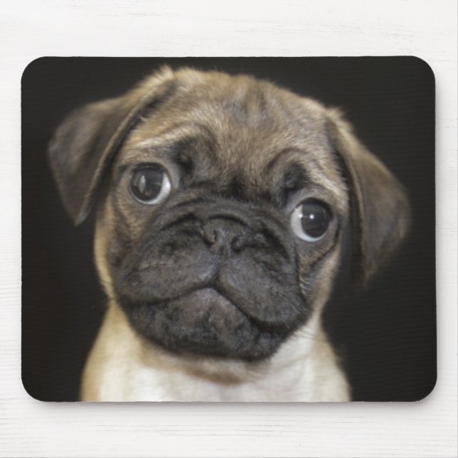 Mousepad Filhote de cachorro pequeno surpreendente do Pug (Frente)