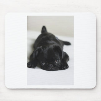 Mousepad Filhote de cachorro preto do Pug
