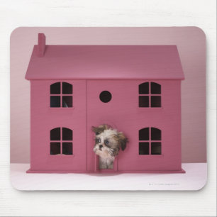 Mousepad Filhote de cachorro que espreita fora da casa de