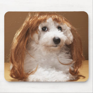 Mousepad Filhote de cachorro que veste a peruca do gengibre