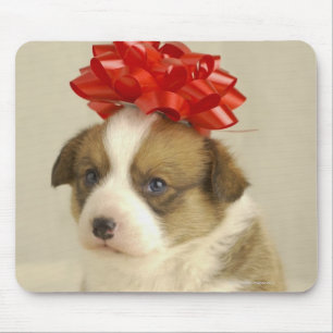 Mousepad Filhote de cachorro que veste um arco vermelho