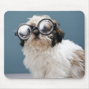 Mousepad Filhote de cachorro que veste vidros grossos