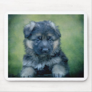 Mousepad Filhote de cachorro revestido longo do german