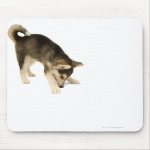 Mousepad Filhote de cachorro ronco 2
