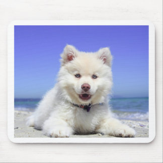 Mousepad Filhote de cachorro ronco branco com olhos azuis