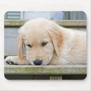 Mousepad Filhote de cachorro triste