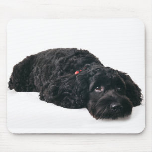 Mousepad Filhote de cachorro triste