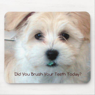 Mousepad Filhote de cachorro - você escovou seus dentes