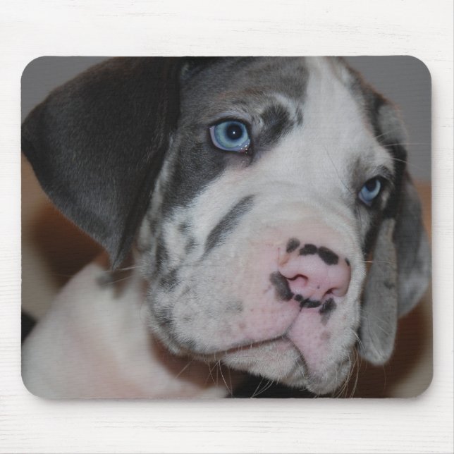 Mousepad Filhote de Dogue com olhos azuis (Frente)