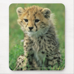 Mousepad Filhote de Guepardo Fofinho